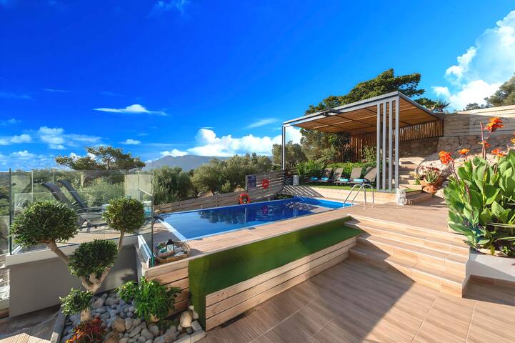 Canes Villa Heated Pool gallery image 4