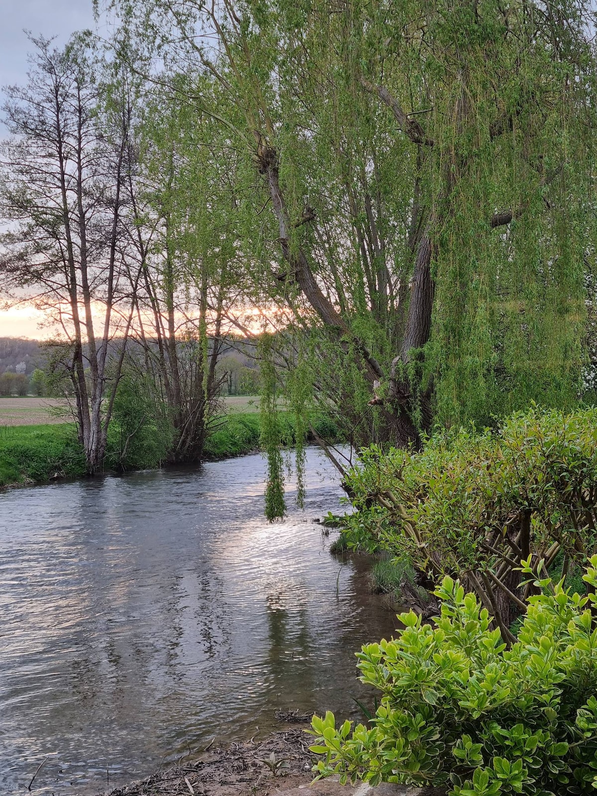 A serene river flows gently, bordered by lush greenery and willow trees. The water reflects natural light, while surrounding bushes add depth to the tranquil landscape. This scene embodies the peaceful environment of the property's outdoor space.