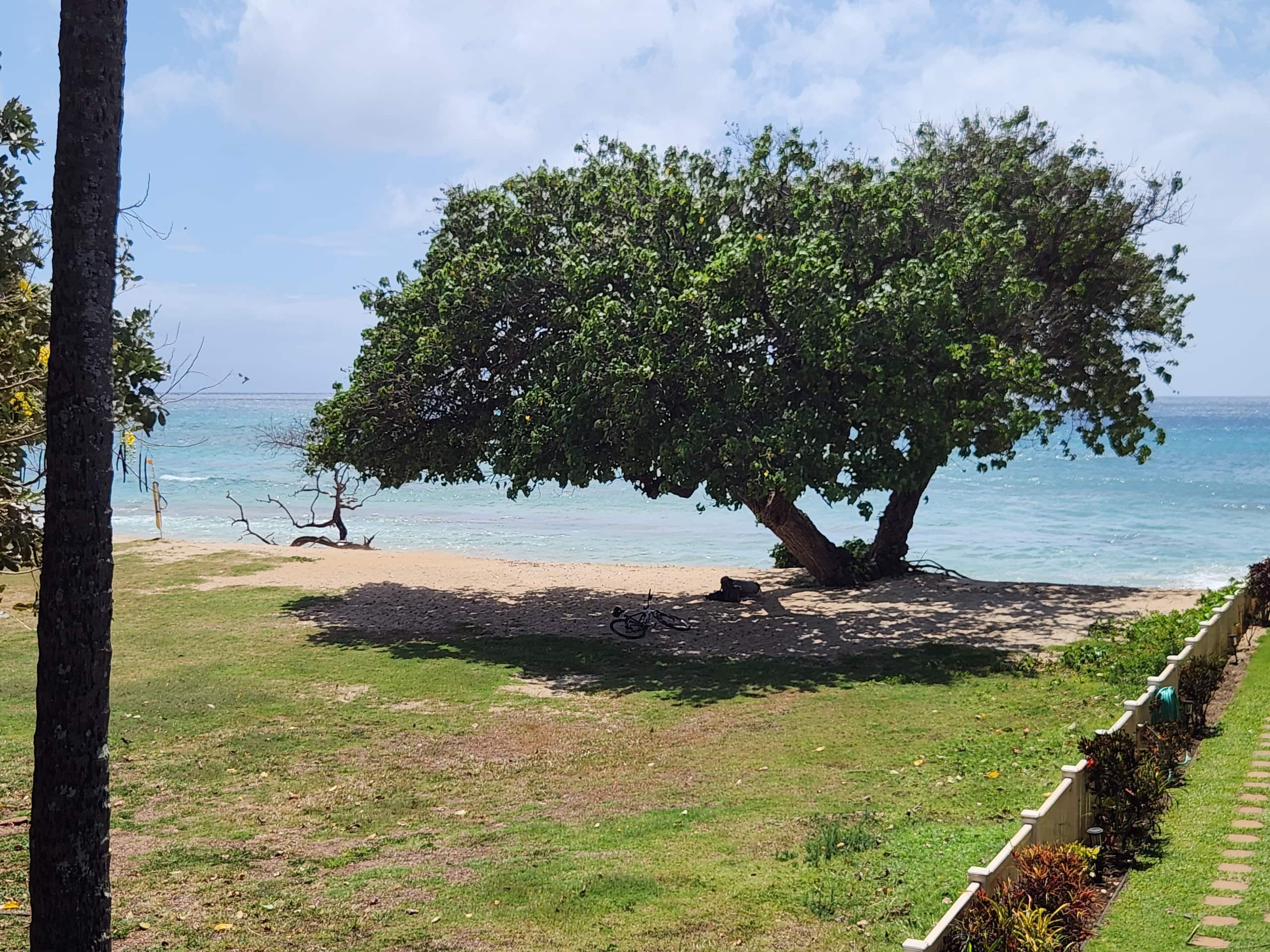 Condo in Lahaina · ★4.76 · 2 bedrooms · 2 beds · 2 private baths - Image 22