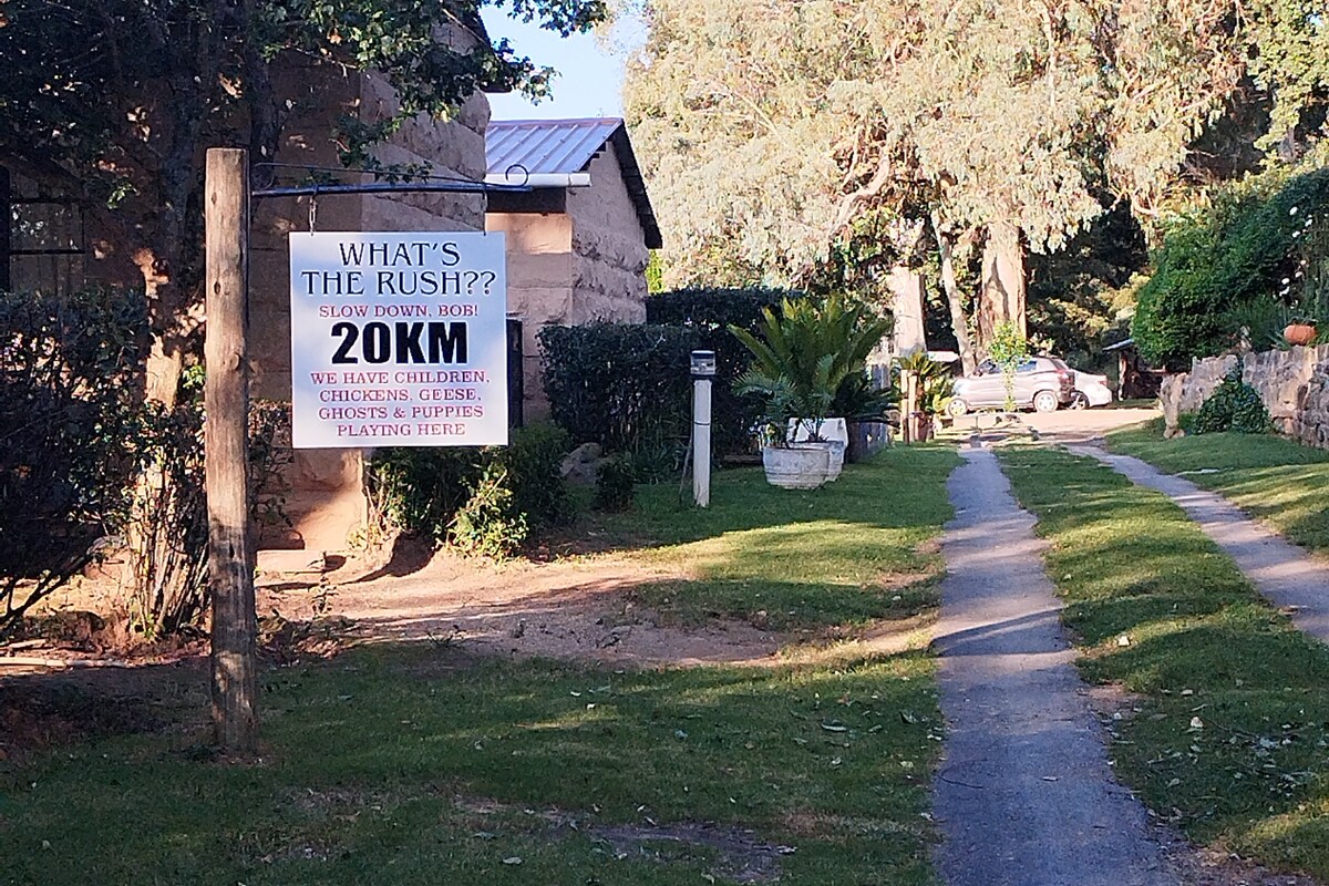 A signpost stands alongside a well-maintained pathway, indicating a speed limit of 20 km/h. Lush greenery surrounds the area, with shrubs and trees providing shade. A driveway is visible in the background, accommodating vehicles. The atmosphere is calm and inviting.