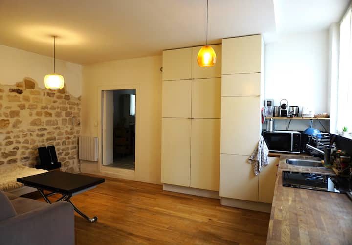 Loft Artiste 47m2 Paris 20 - Paris
