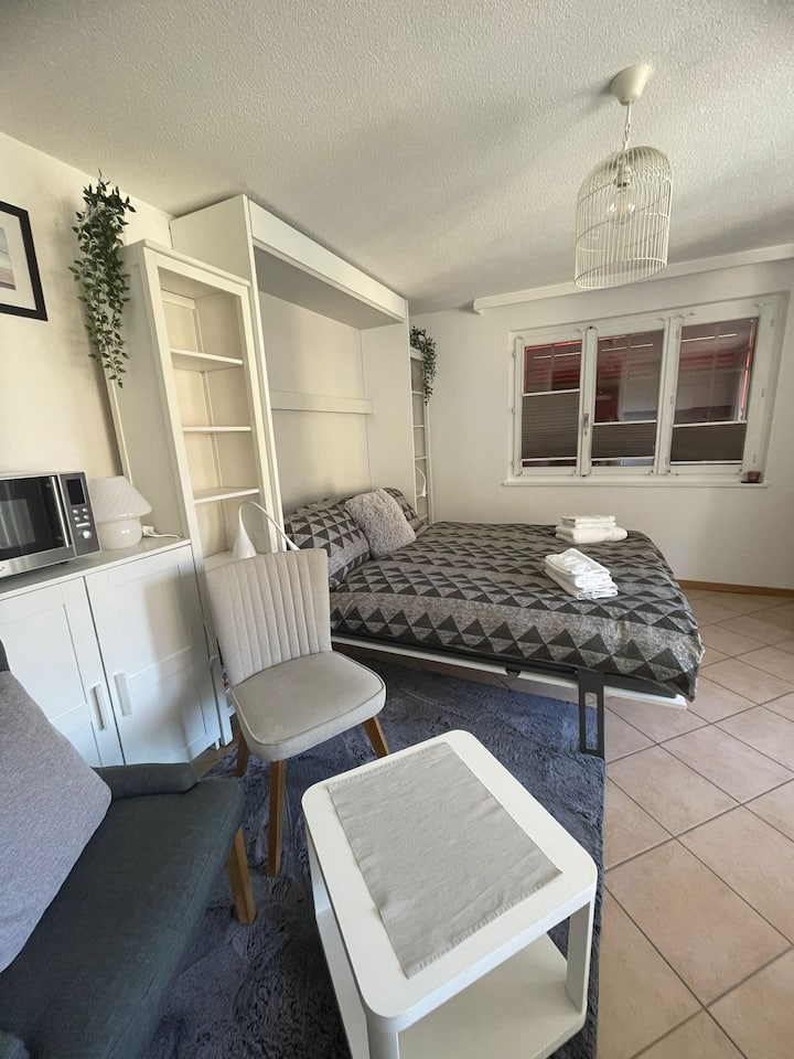 Studio Lumineux, à 2 Pas Des Bains De Saillon - La Tzoumaz