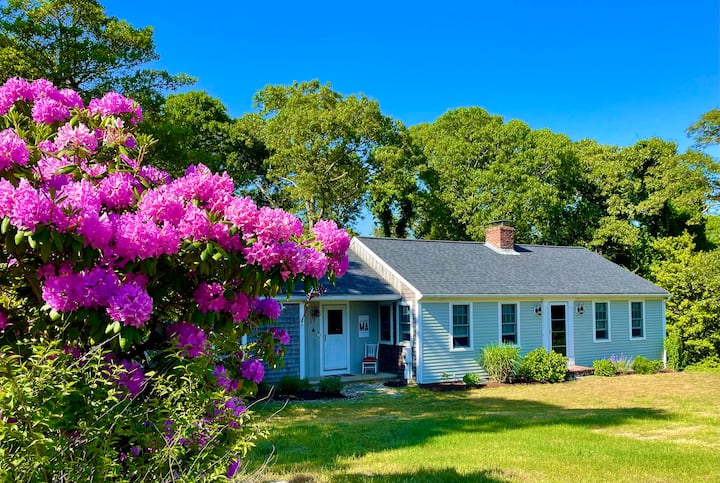Vacation In Cape Cod's Most Beautiful Area! - Orleans, MA