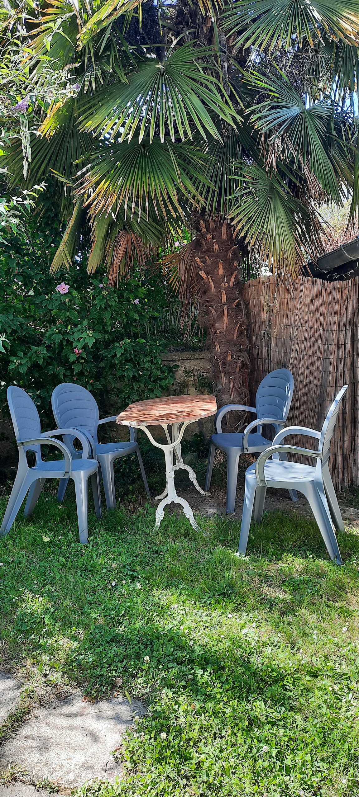 A shared garden area is presented, featuring a small wooden table surrounded by four gray plastic chairs. A lush backdrop of greenery, including a palm tree, provides a serene environment. The space is suitable for relaxation and social gatherings.