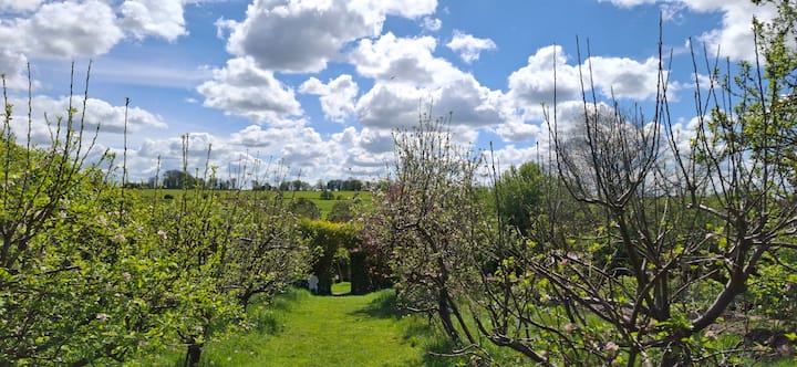 Peace And Natural Beauty In The Heart Of Cotswolds - Bibury