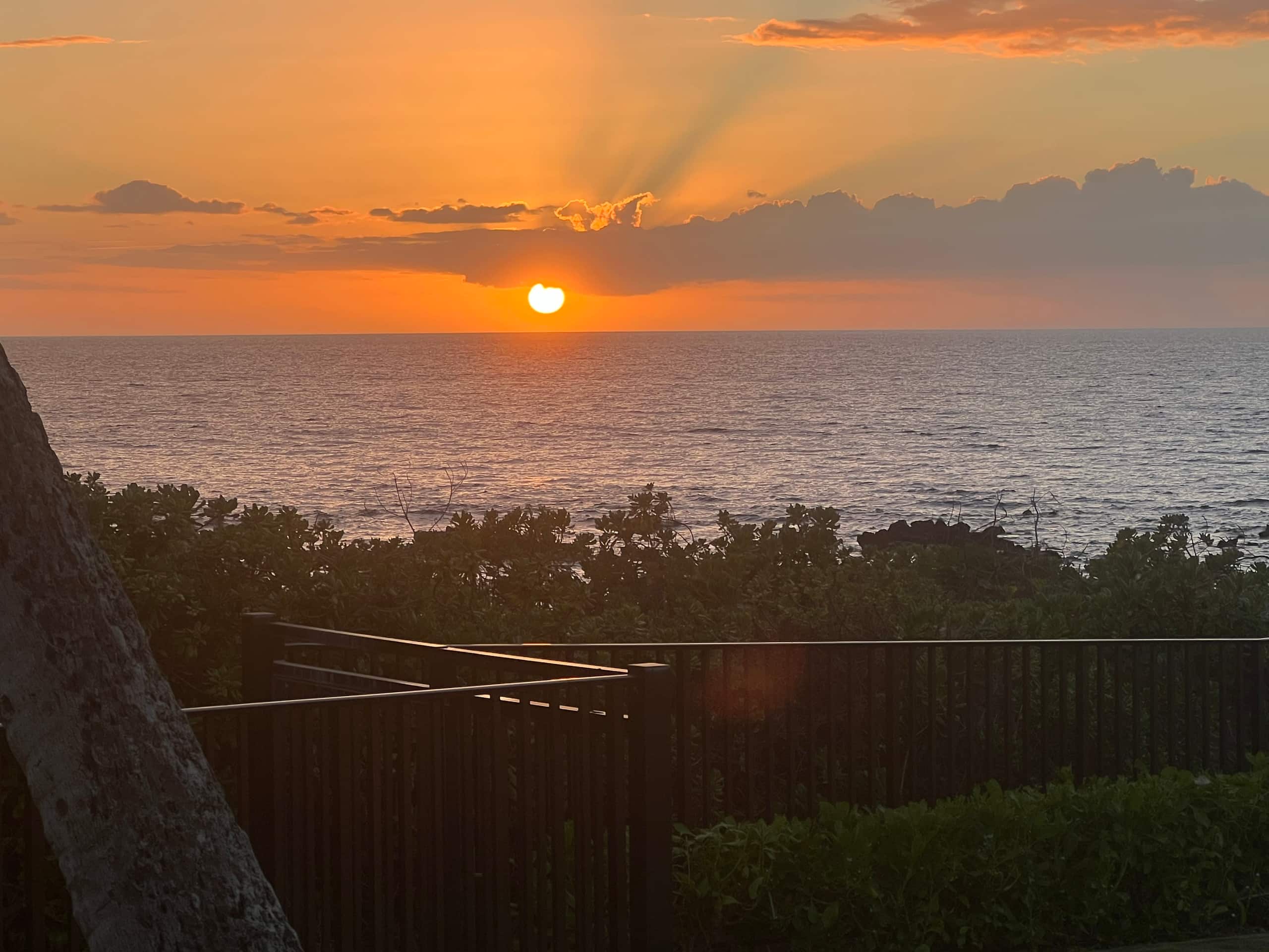 Condo in Kihei · ★4.96 · 1 bedroom · 2 beds · 1 bath - Image 25