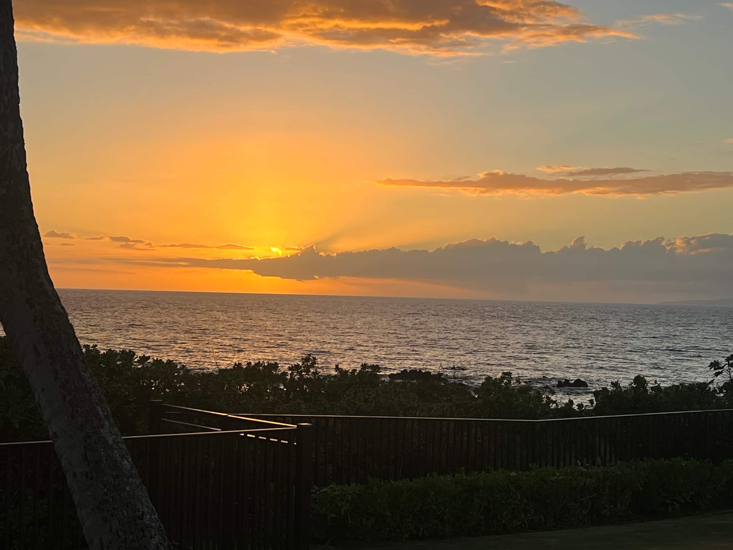 Condo in Kihei · ★4.96 · 1 bedroom · 2 beds · 1 bath - Image 24
