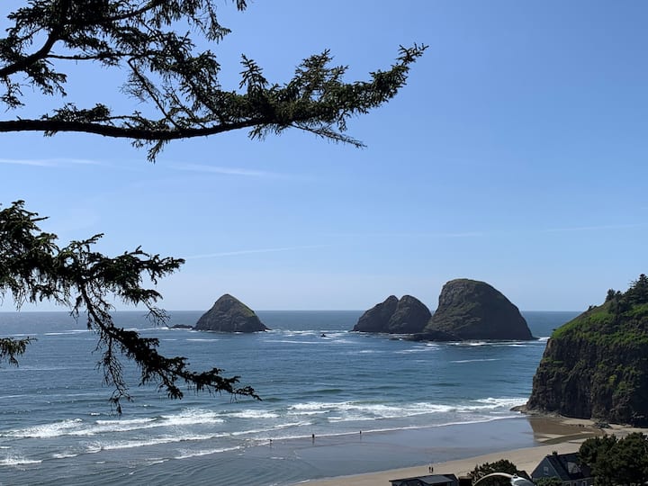 Great Ocean Views From Dog-friendly Lower Unit - Oceanside, OR