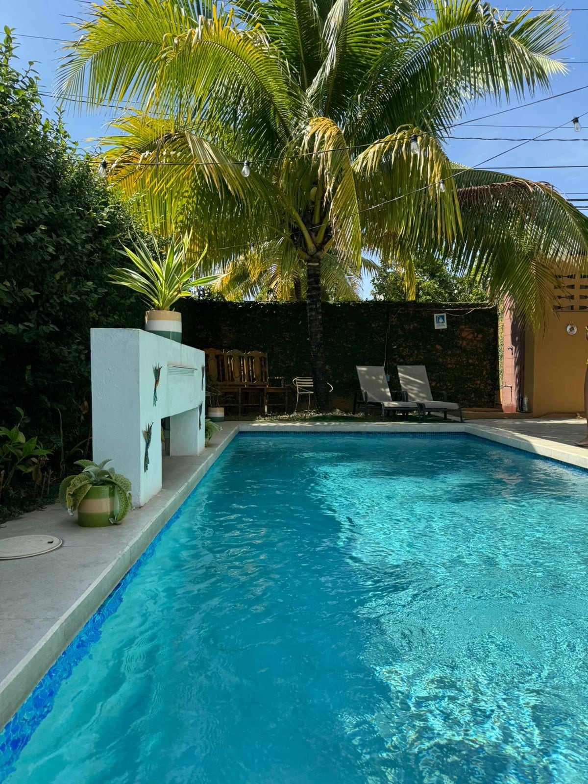 A refreshing pool is surrounded by lush greenery, featuring a tall palm tree and shaded seating area. Two lounge chairs are positioned alongside the pool, offering a place to relax. The clear blue water reflects the sunlight, enhancing the tranquil outdoor setting.