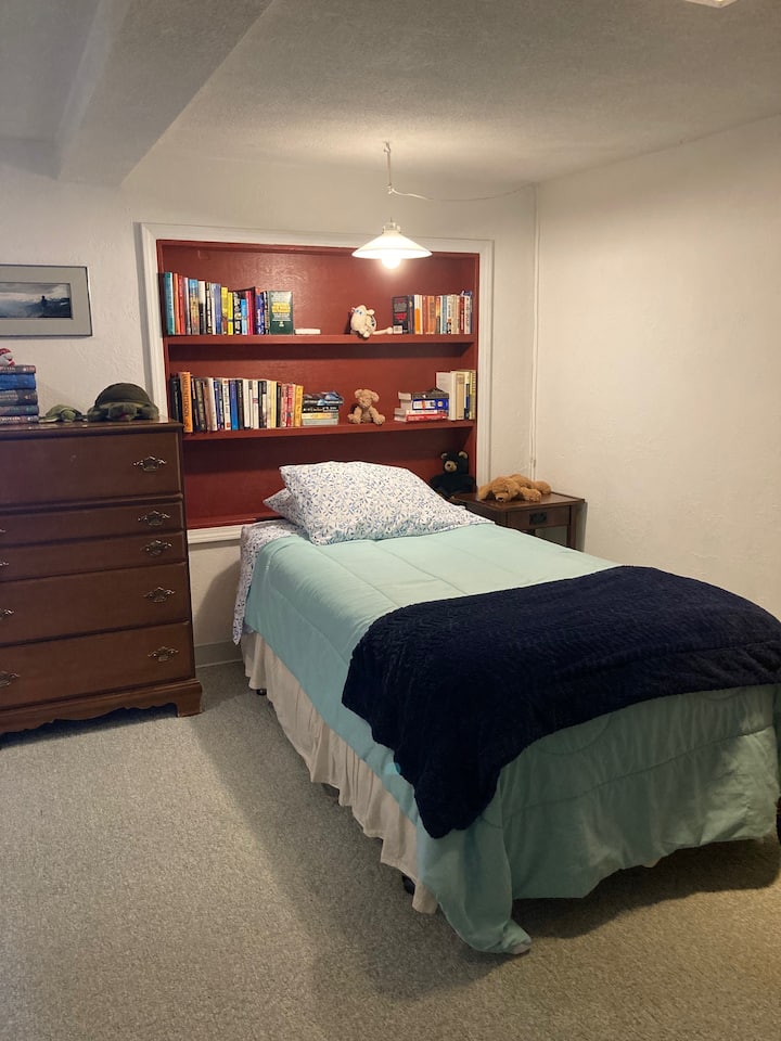 Chumba cha katikati cha ghorofa ya chini kilicho na kitanda pacha na kochi dogo la kuficha kitanda.  