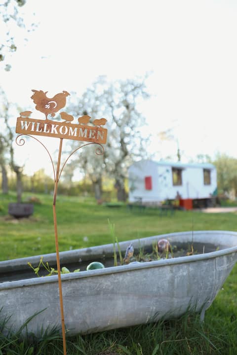 Vacation in the meadow - overnight stay in the construction trailer