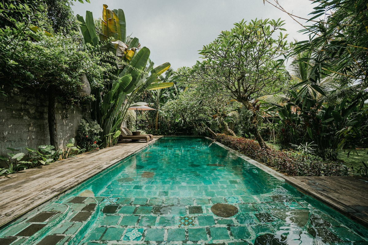 A serene pool area surrounded by lush greenery and tropical plants. Relaxing lounge chairs are placed by the water's edge, while an umbrella offers shade. The calm blue pool features a tiled base, reflecting the vibrant foliage that encloses the space.