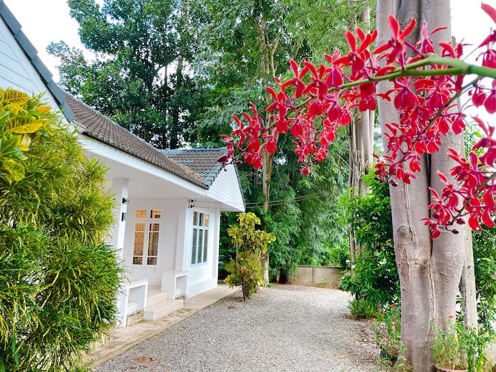 Silpasom Artstay Suratthani - Thailand