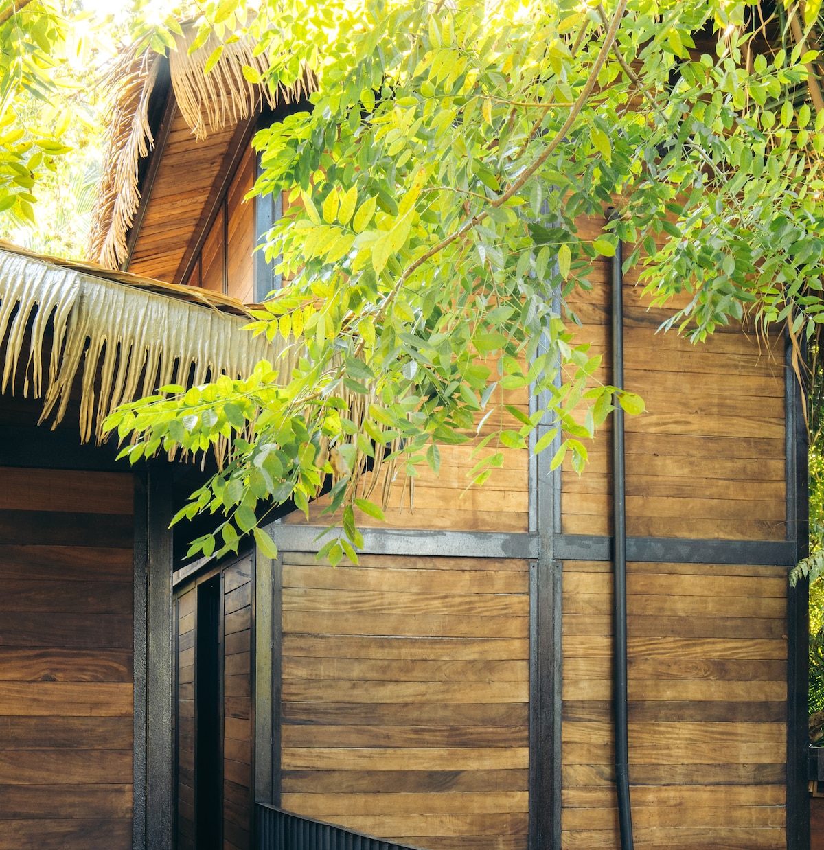 The exterior of a cabin is framed by lush green leaves, showcasing a combination of natural wood and bamboo materials. The design features vertical wooden planks contrasted with darker wooden accents, creating a harmonious look that blends with the surrounding environment.