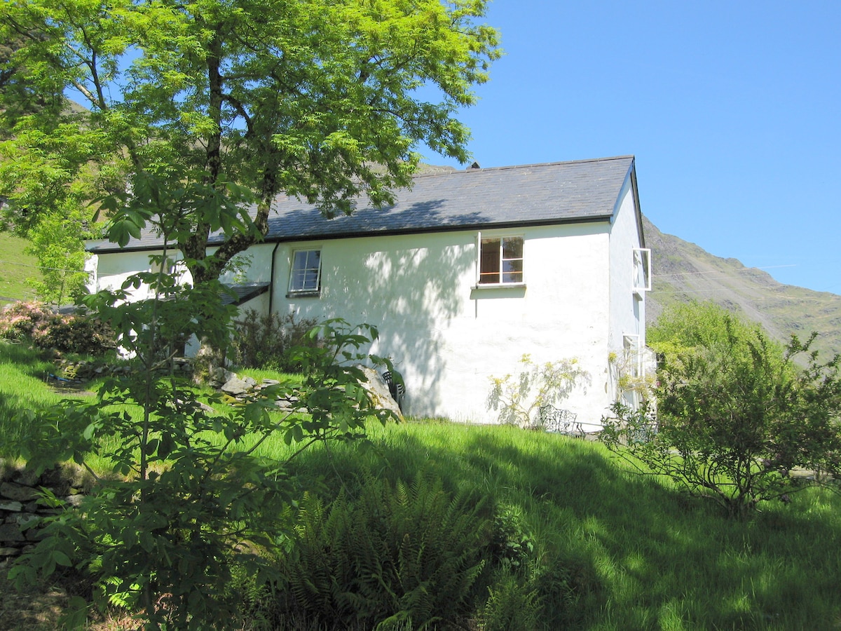 A traditional farmhouse is nestled in a lush green landscape, surrounded by gently sloping grounds. The white exterior and sloped roof contrast with the vibrant foliage and clear blue sky. Windows are visible, allowing natural light into the space.