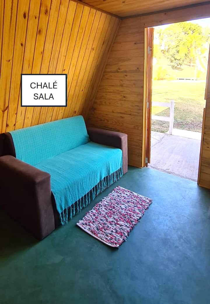 كوخ - غرفة المعيشة: مساحة متكاملة مع المطبخ. يحتوي على سرير أريكة مزدوج (صغير).