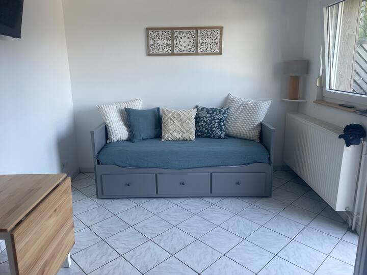 Charmant Appartement , Avec Jolie Vue Sur Le Lac - Gérardmer