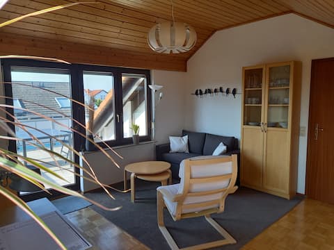 Bright 2.5-room shared apartment with big rooftop