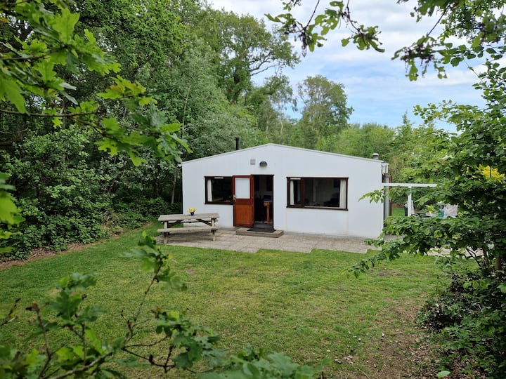 Vakantiewoning Dichtbij Het Strand, Duinen En Bos - Renesse