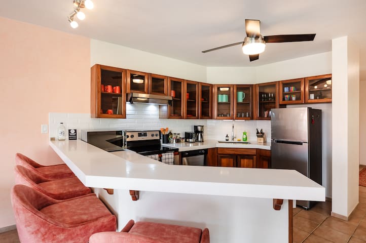 CONDO CORAL - Newly Remodeled Ocean Front Condo!