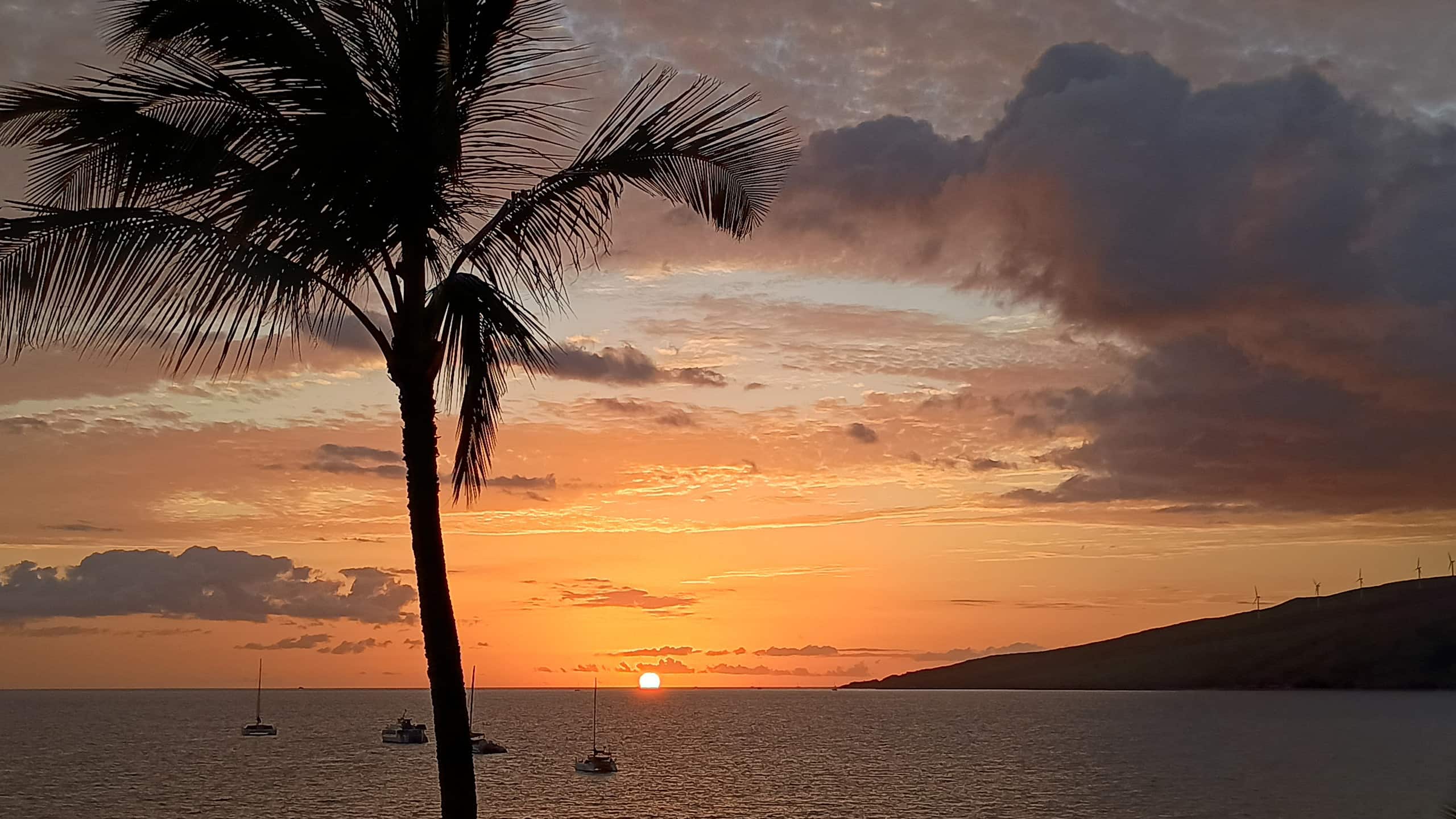 Condo in Kihei · ★4.95 · 1 bedroom · 2 beds · 1 bath - Image 8