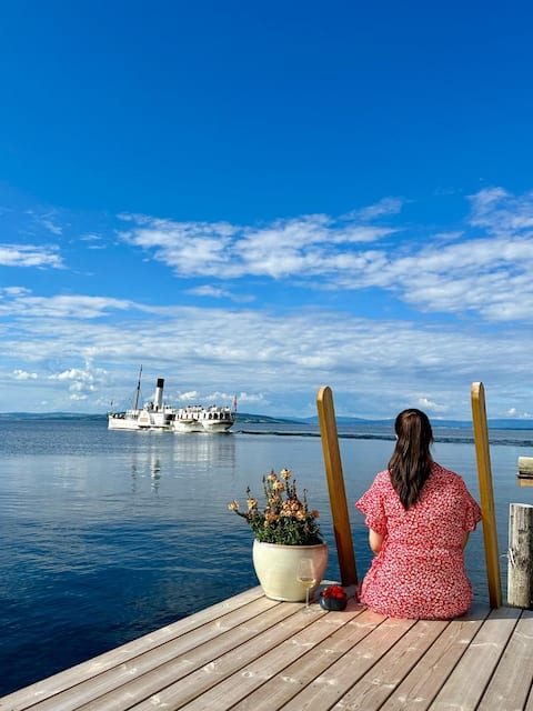 Panoramic cabin at Mjøsa (#1)
