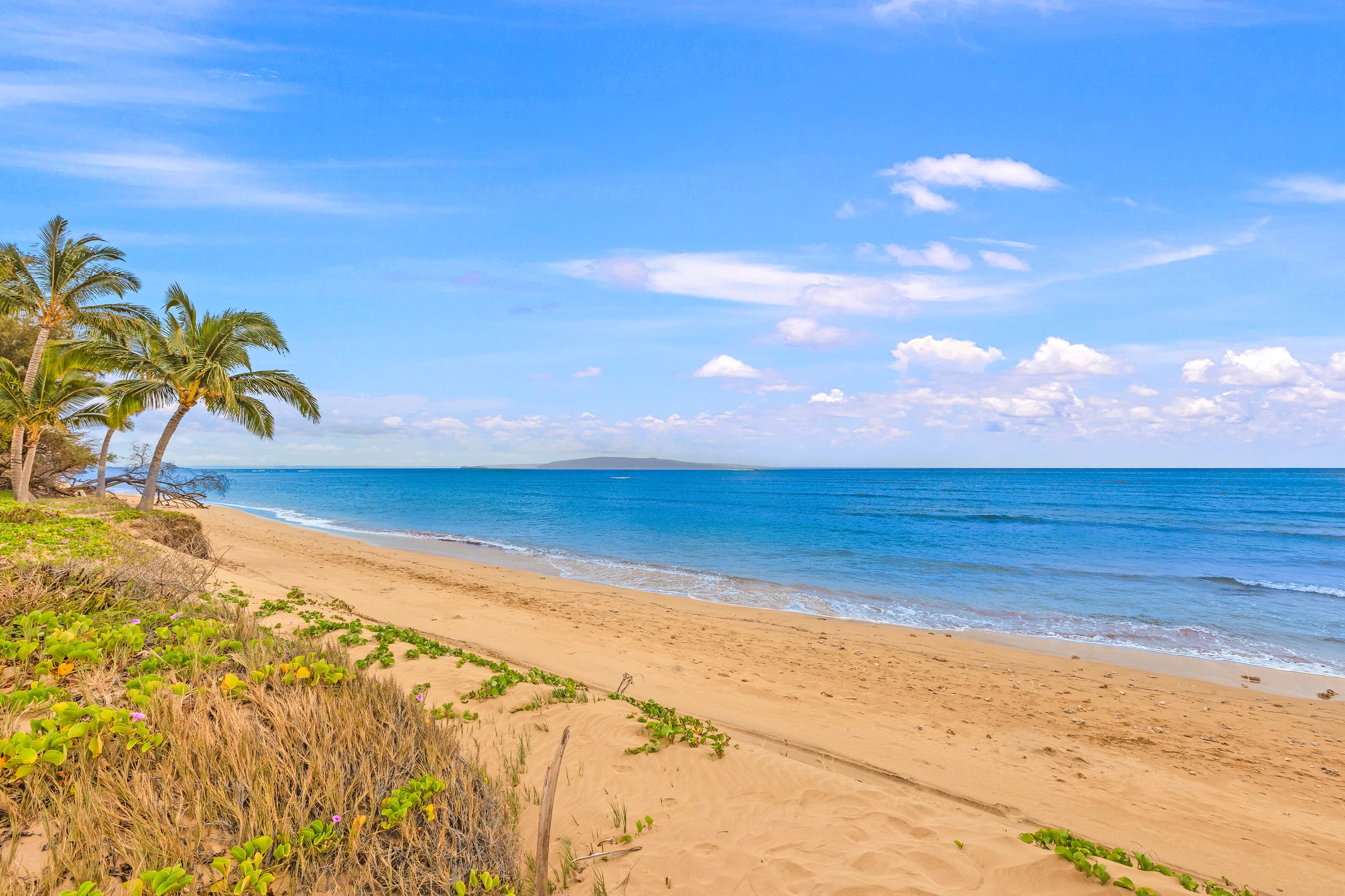 Home in Kihei · ★4.9 · 2 bedrooms · 2 beds · 2 baths - Image 25