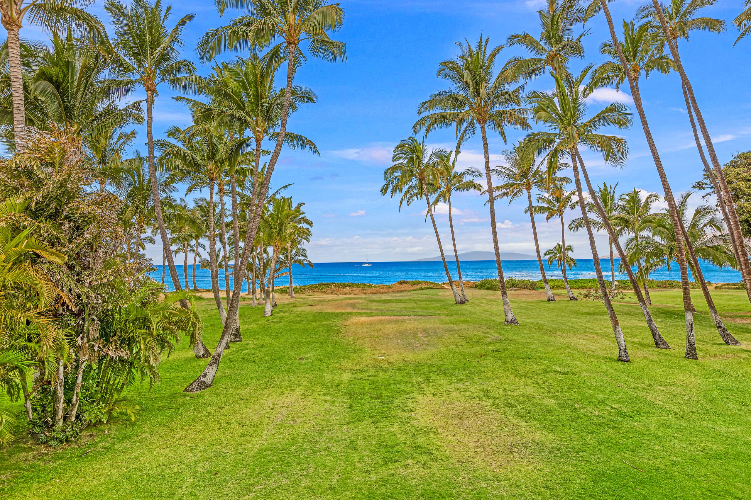 Home in Kihei · ★4.9 · 2 bedrooms · 2 beds · 2 baths - Image 30