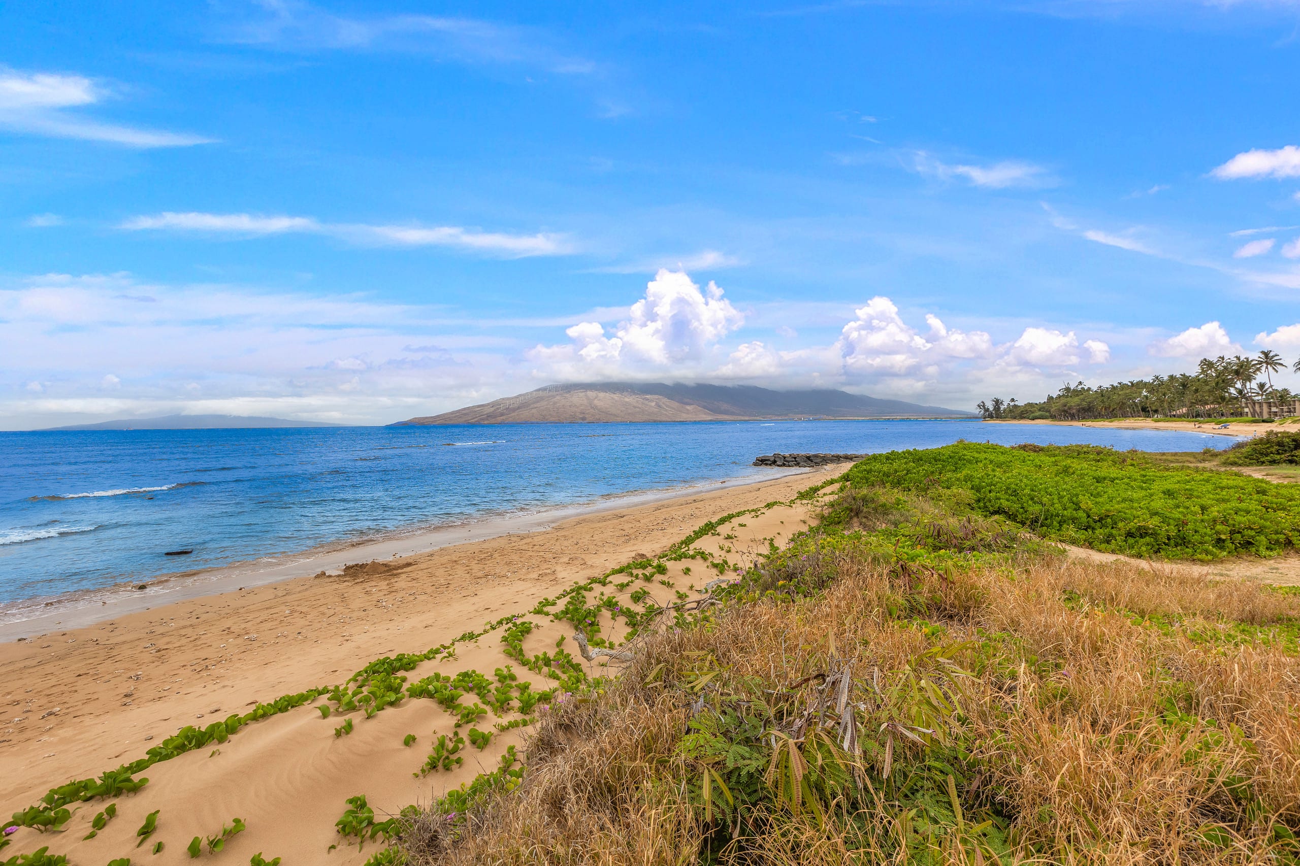 Home in Kihei · ★4.9 · 2 bedrooms · 2 beds · 2 baths - Image 31