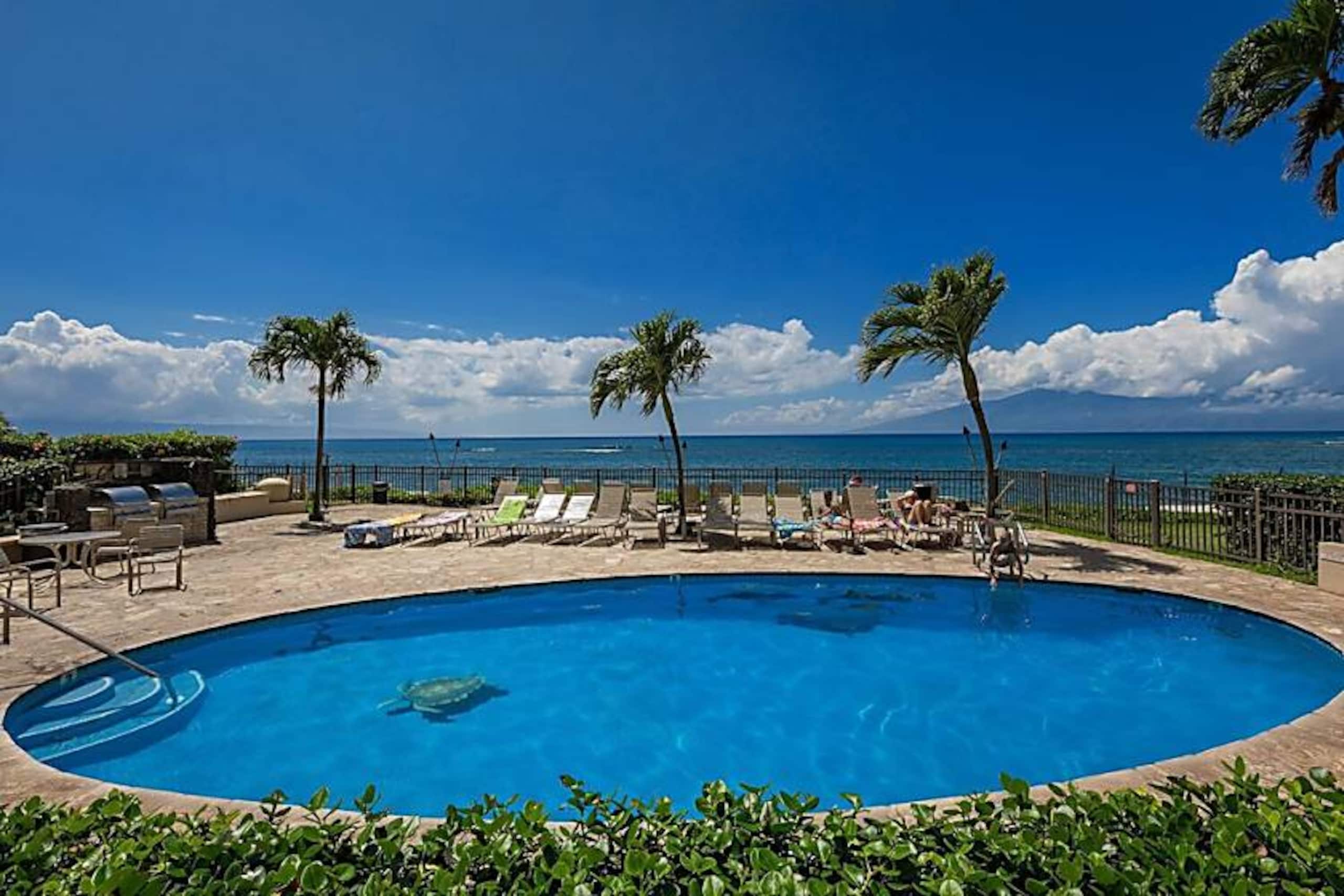 Condo in Lahaina · ★4.93 · 2 bedrooms · 3 beds · 2 baths - Image 24