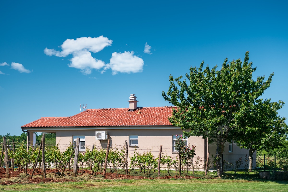 The single-story villa is surrounded by lush greenery and features a terracotta roof. A large tree provides shade, while rows of vines are visible in the foreground, contributing to the serene rural landscape under a clear blue sky.