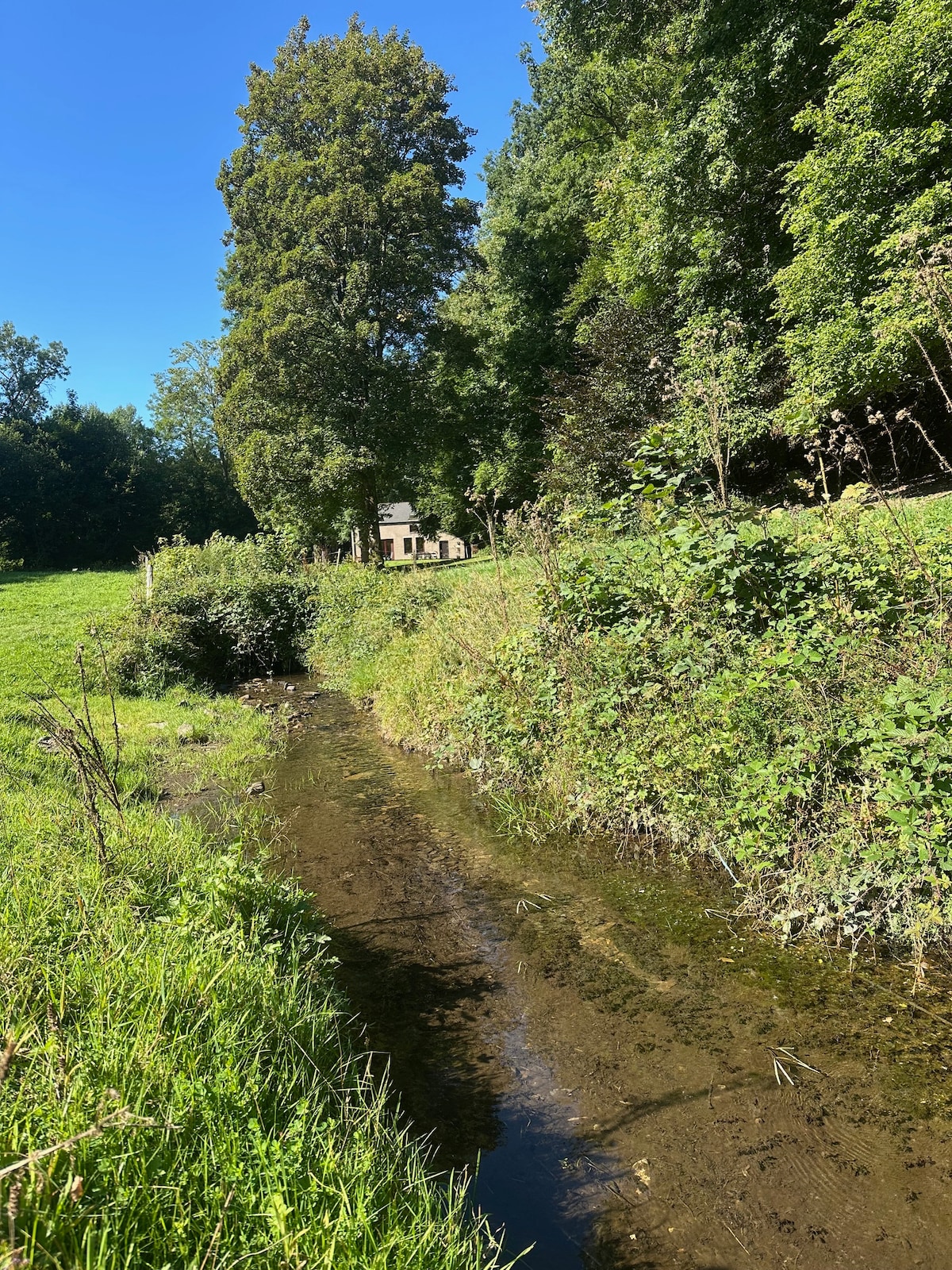 Successful Airbnb property: In the heart of the Ardennes, property with a stream in Bastogne