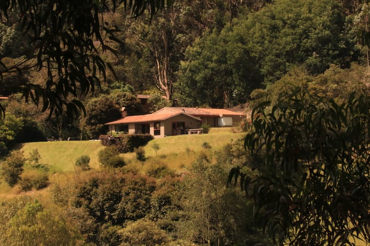 CerroVerde-Casa de campo-Subachoque-Joya Arq-Calma