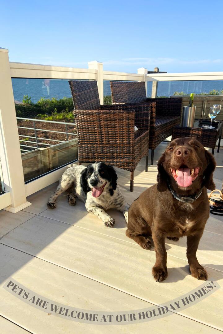 Holiday Accommodation On The Cliff 5 - Watchet
