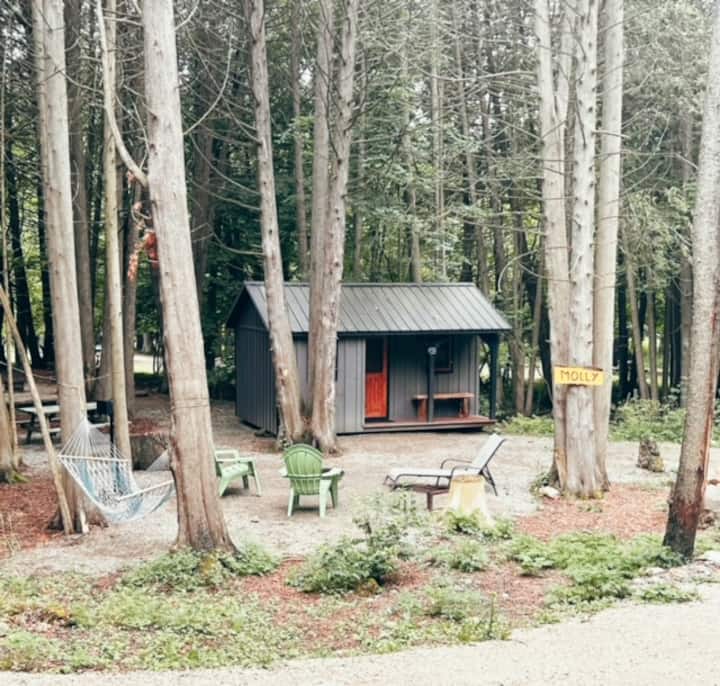 Mollys Cabin - Owen Sound