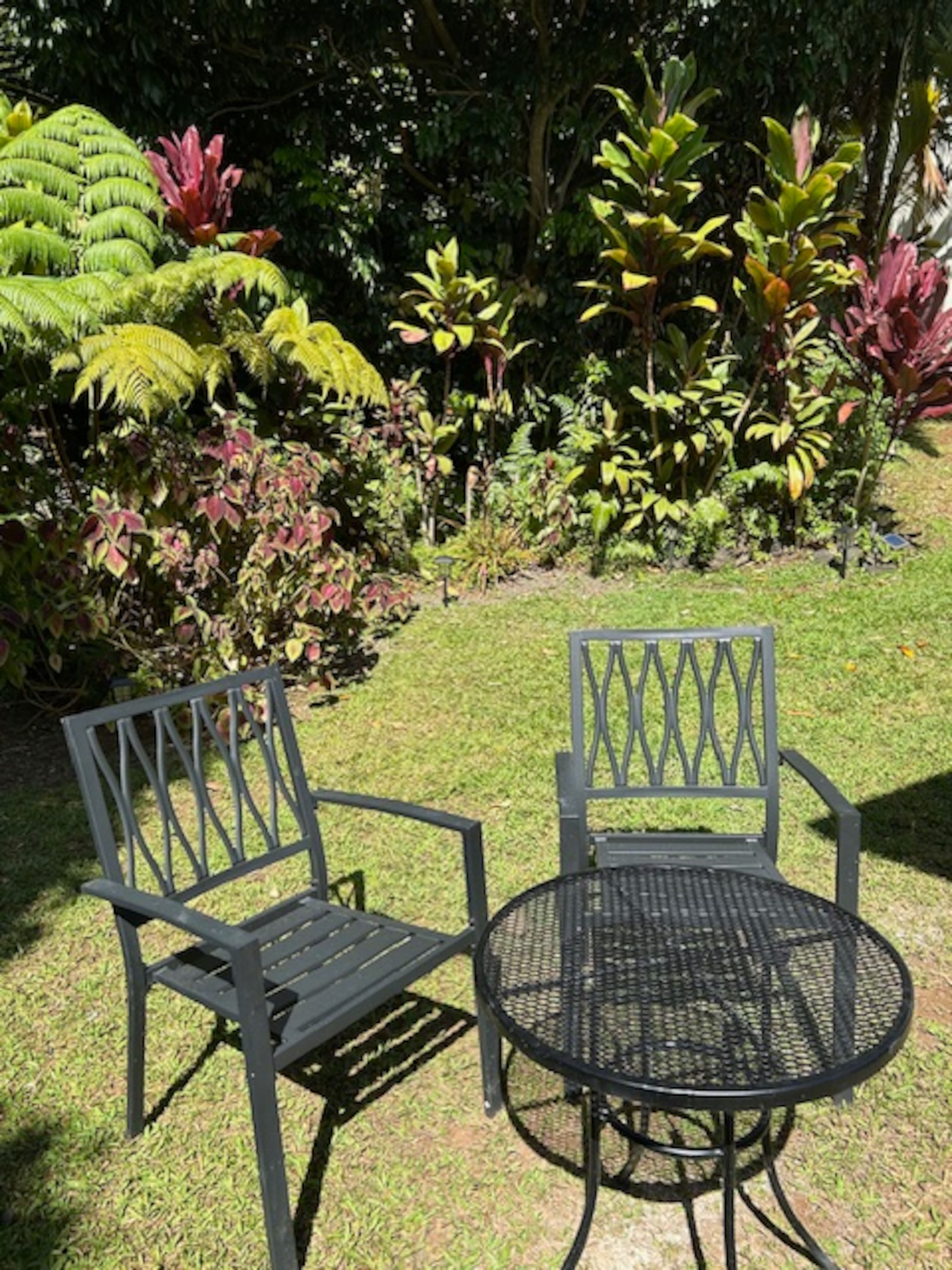 Private Studio short walk to Hakalau Beach Hamakua - Photo 9