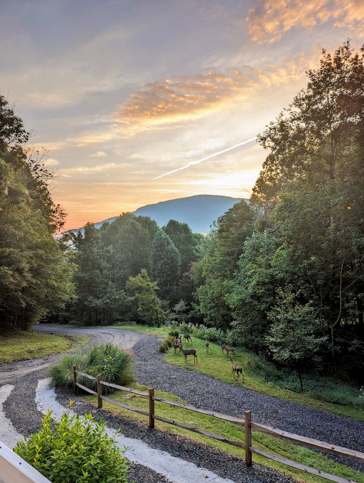 Mountain View Getaway - West Jefferson, NC
