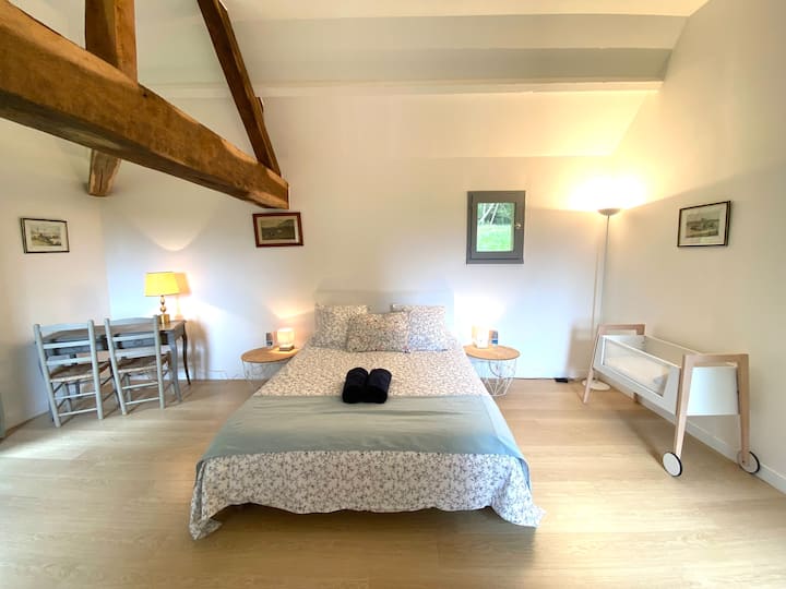 Спална соба со поглед кон градината. Бања и тоалети во ходникот со поглед кон спалната соба. Соба совршена за лица со попреченост.