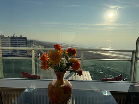 Successful Airbnb property: Apartment Piano, Directly on the beach! in Boulevard Midden