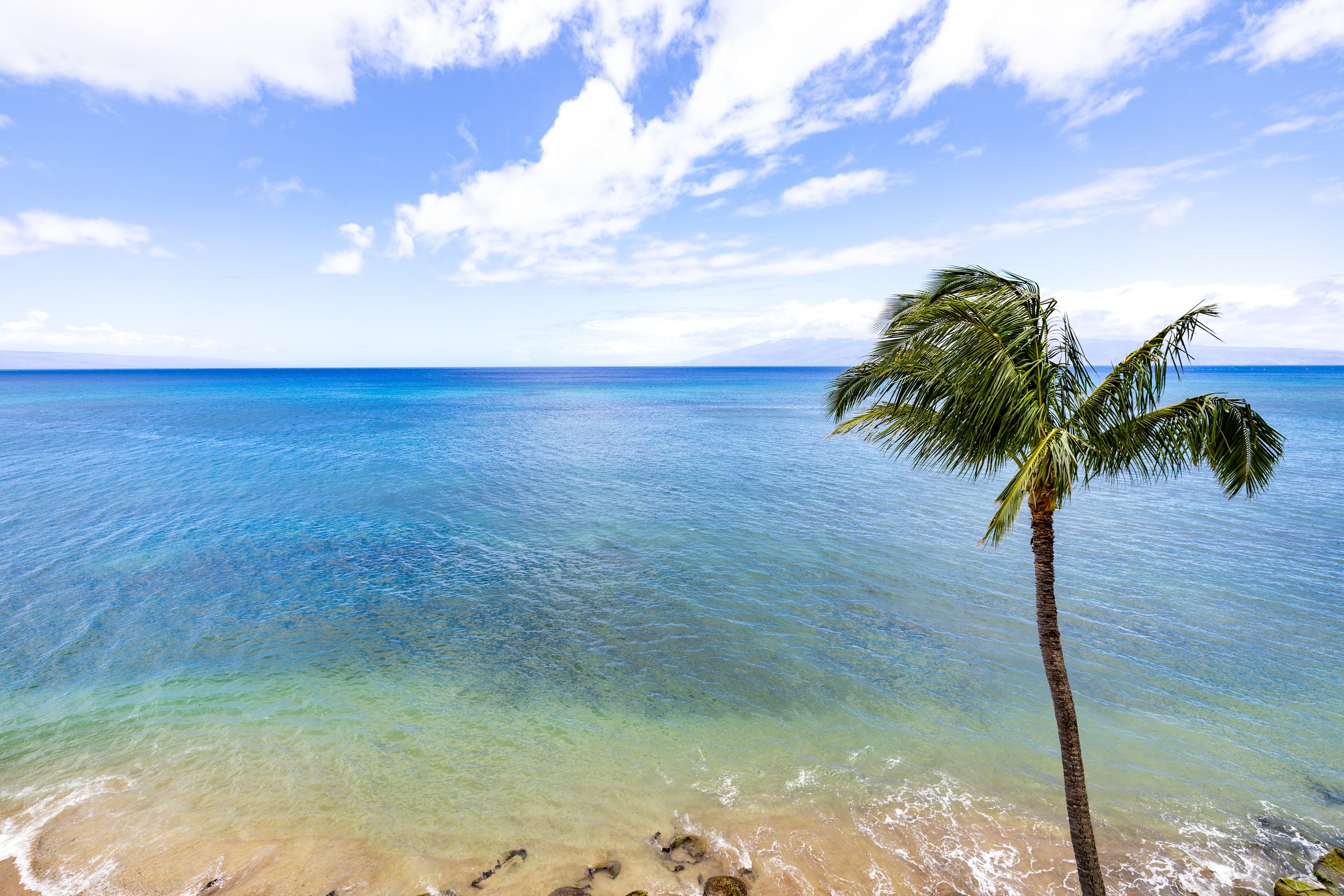 Condo in Lahaina · ★4.96 · 1 bedroom · 1 bed · 1 bath - Image 30
