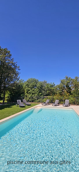 The image displays a communal swimming pool surrounded by well-maintained gardens and sun loungers. A clear blue sky above complements the tranquil atmosphere, while lush greenery frames the area, providing a relaxing environment for guests.