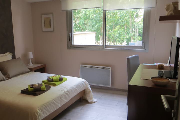Suite Oasis De 2 à 6 Voyageur - Nancy