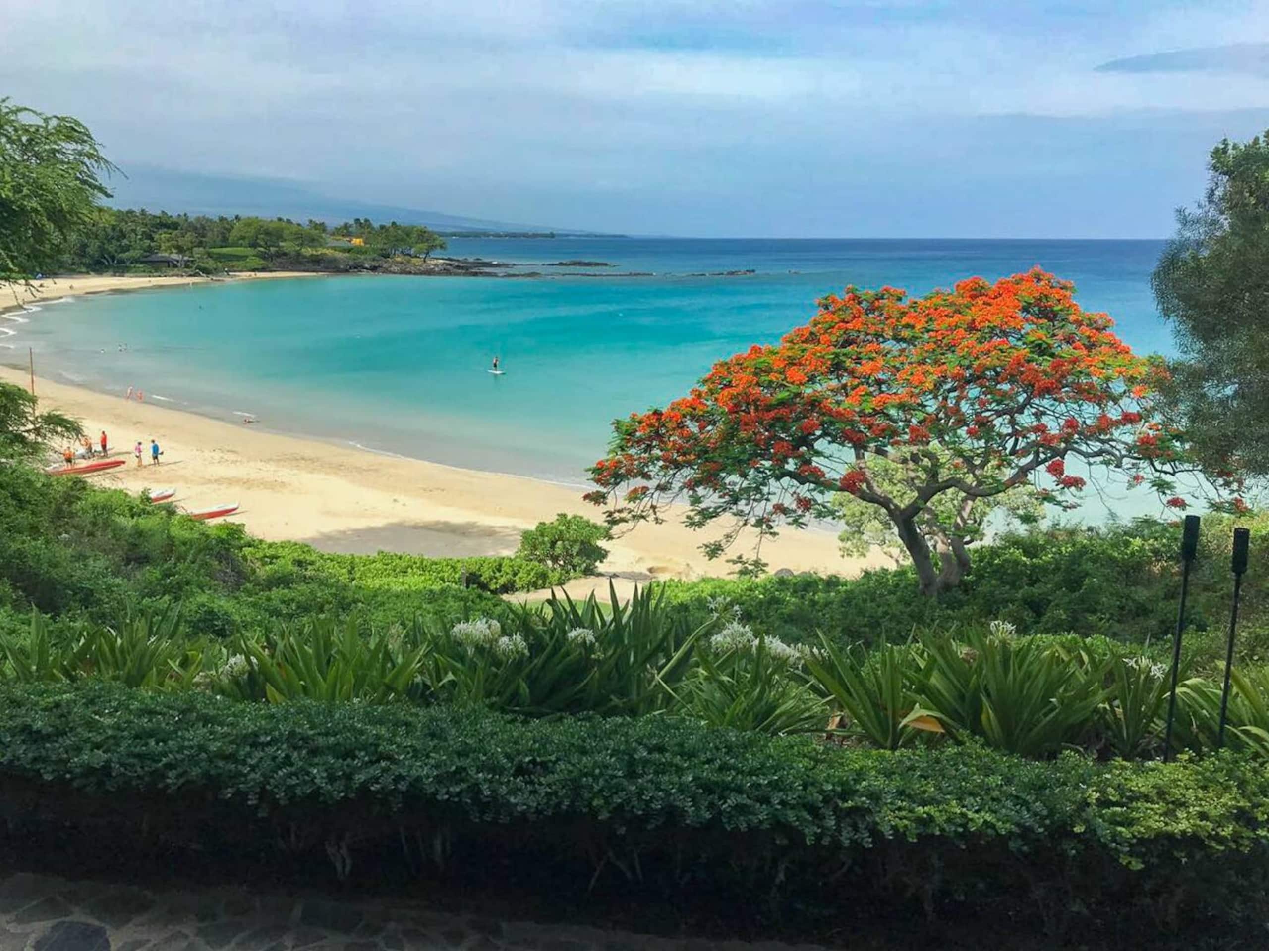 Home in Waimea · ★4.96 · 4 bedrooms · 6 beds · 3 baths - Image 68
