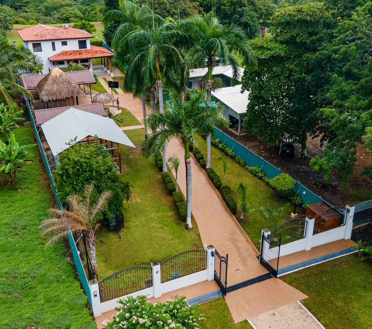 Aerial view captures the expansive outdoor area featuring a paved pathway leading through lush gardens. Flanking the path are several palm trees and shaded seating areas. A tiki hut with an overhanging roof is visible, along with a glimpse of the main house in the background.