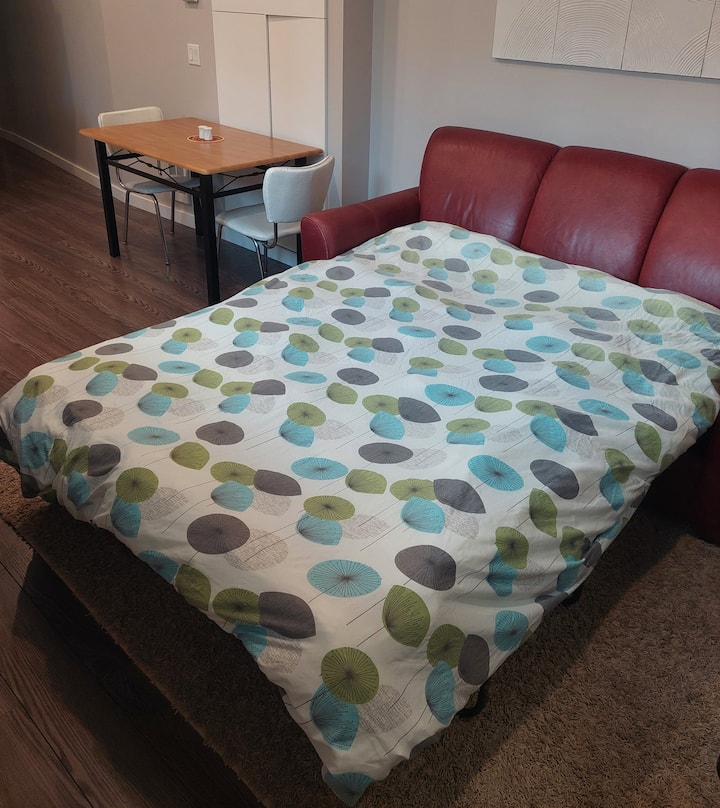 Modern, Comfortable & Clean Private Basement Suite - Saskatoon