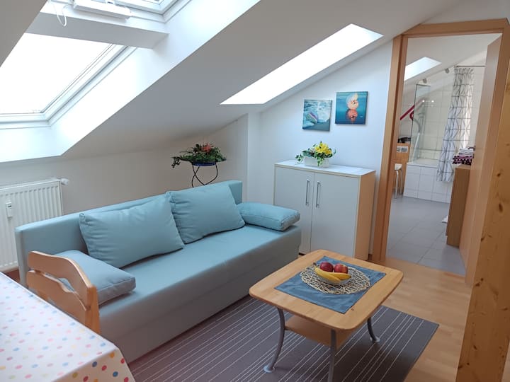 Helles Appartement In Der Stadtmitte - Mindelheim