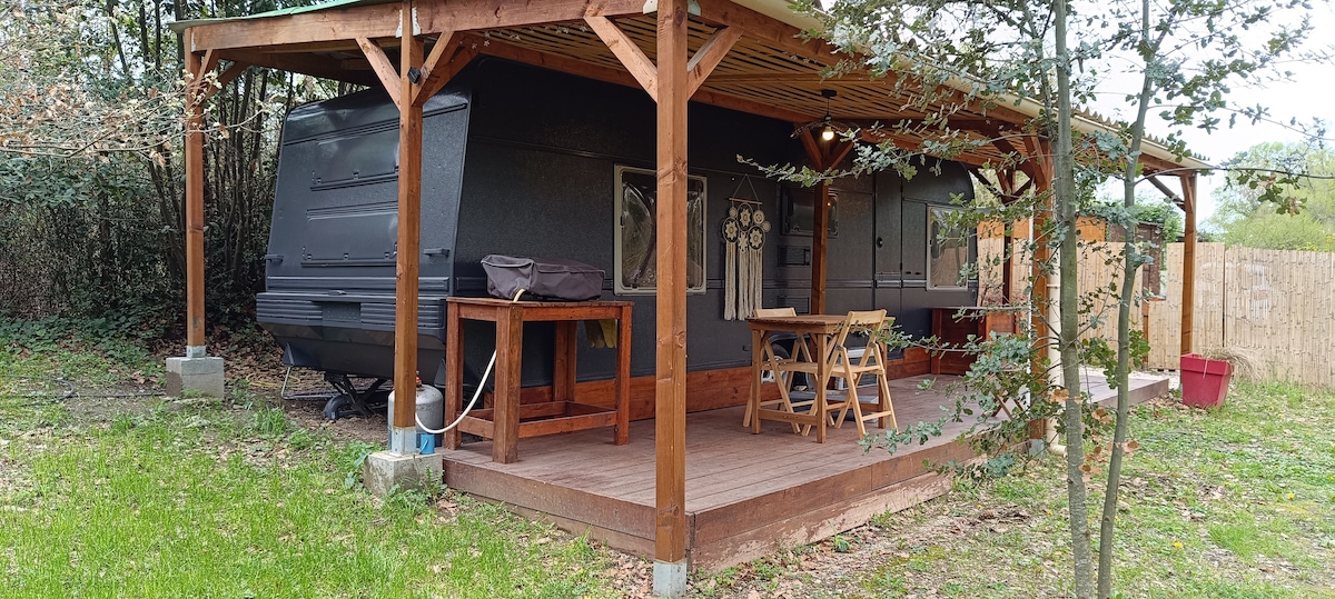 A shaded outdoor area is featured, with a wooden deck supporting a dark caravan. A table and chairs are arranged for dining, and adjacent trees provide a natural border. The landscaped surroundings include grassy patches, enhancing the tranquil outdoor experience.