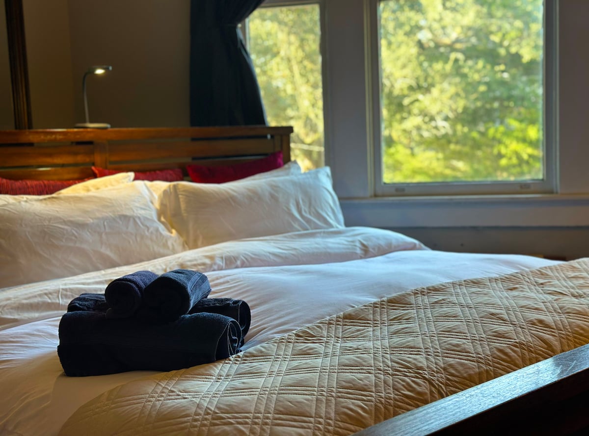 A spacious bed is dressed with a white coverlet, accented by inviting red and black pillows. Freshly folded towels are neatly arranged at the foot of the bed. Natural light pours through large windows, illuminating the cozy area and offering a glimpse of greenery outside.