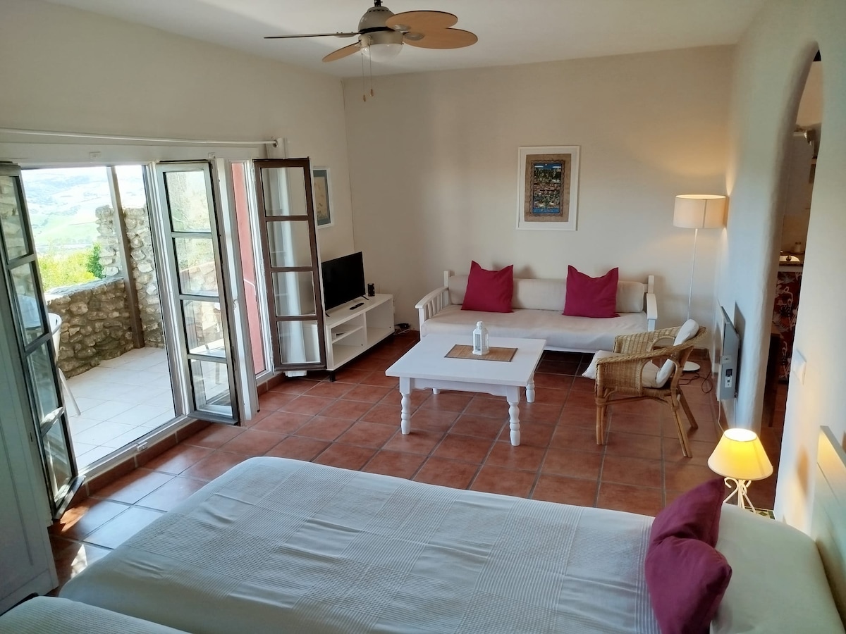 A dual-purpose room includes two individual beds and a cozy corner with seating options. Sunlight enters through multiple glass doors, illuminating the space. A small television rests on a stand, complemented by a lampshade and decorative artwork on the walls.