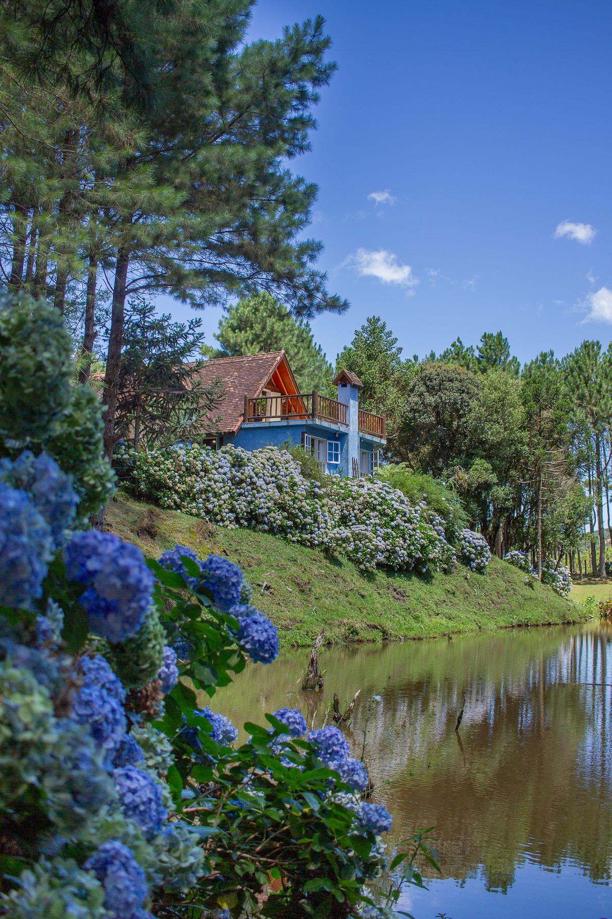 A charming blue house is nestled among lush green trees and blooming hydrangeas, overlooking a tranquil pond. The clear blue sky frames the scene, highlighting the peaceful outdoor setting.